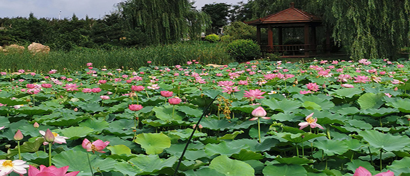 沈阳炎热夏季到来,使用电加热锅炉需要注意的几个方面你知道吗